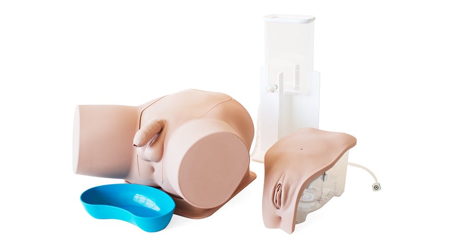 Catheterization Trainer - Set - Standard - Light Skin - L&T